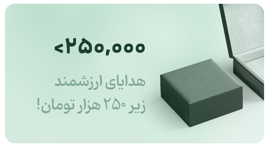 هدایای زیر ۲۵۰ هزار تومان در فروشگاه زابزبا