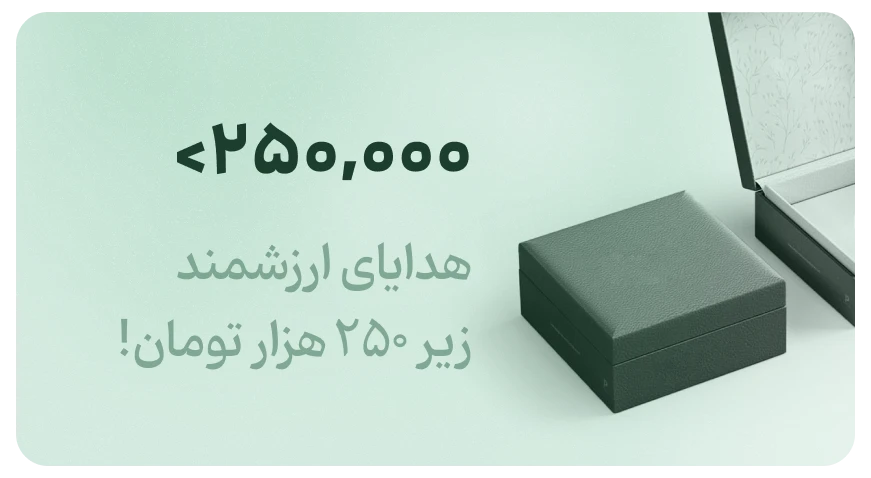 هدایای اکسسوری ارزان زیر ۲۵۰ هزار تومان در فروشگاه زابزبا