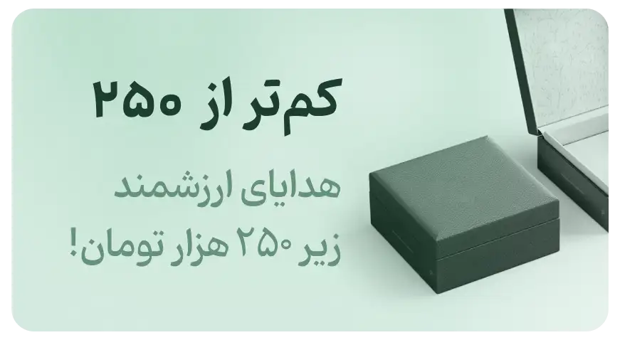 هدایای اکسسوری، بدلیجات و زیورآلات ارزان زیر ۲۵۰ هزار تومان در فروشگاه زابزبا (Zabzeba)